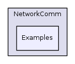 NetworkComm/Examples